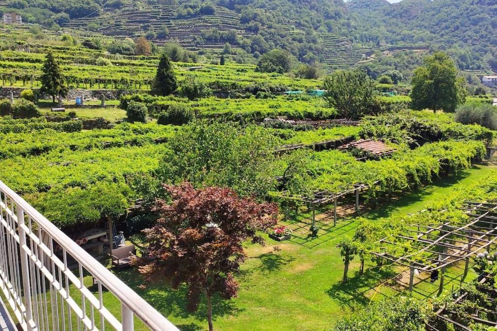 דירות Carema La Casa Dei Nonni 3,0 מראה חיצוני תמונה